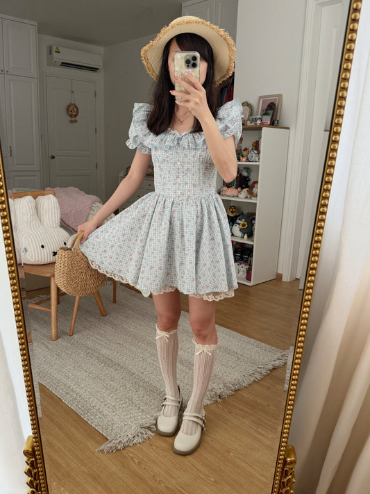 Gingham Rose Mini Dress (2 Colors)