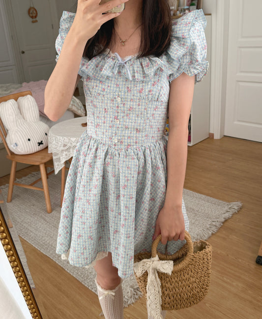 Gingham Rose Mini Dress (2 Colors)