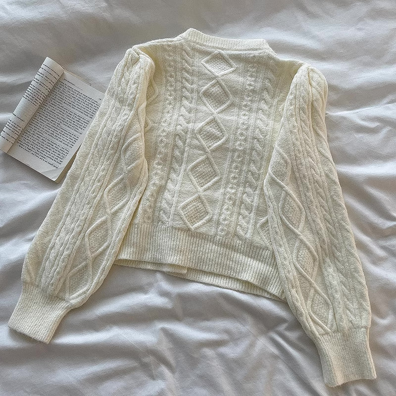 Round Neck Cable Knit Cardigan (9 Colors)