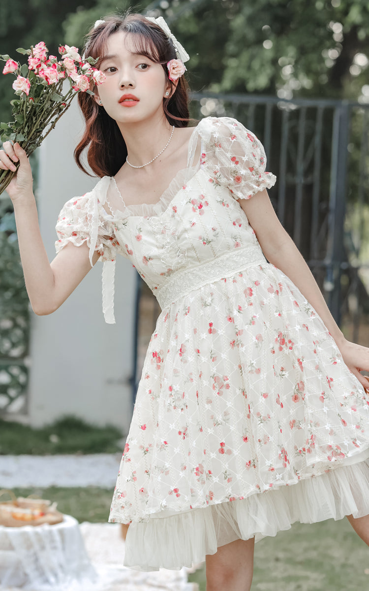 Dainty Rose Petticoat Mini Dress (White)