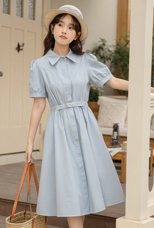 Summer Days Shirt Dress (2 Colors)