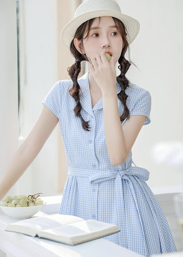 Classic Gingham Shirt Dress (2 Colors)