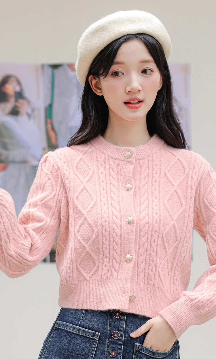 Round Neck Cable Knit Cardigan (9 Colors)
