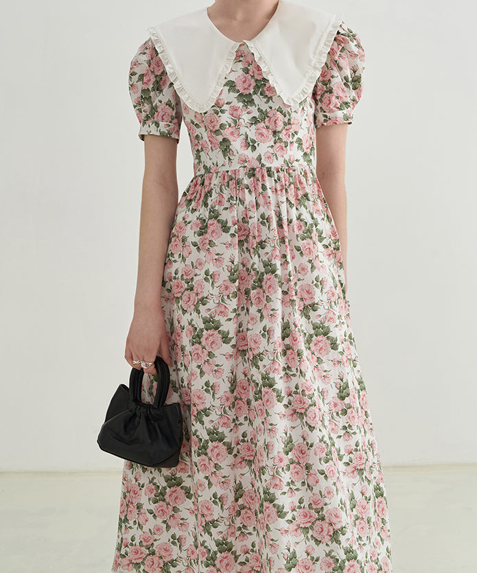 Rose Tea Peter Pan Dress (White/Pink)