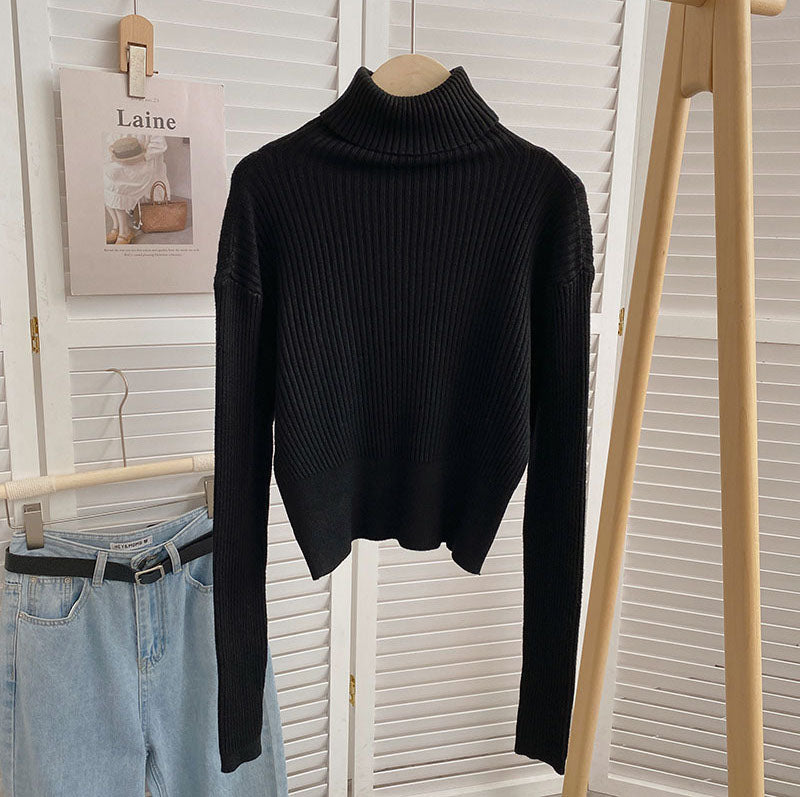 Chunky Ribbed Turtleneck Sweater (8 Colors)