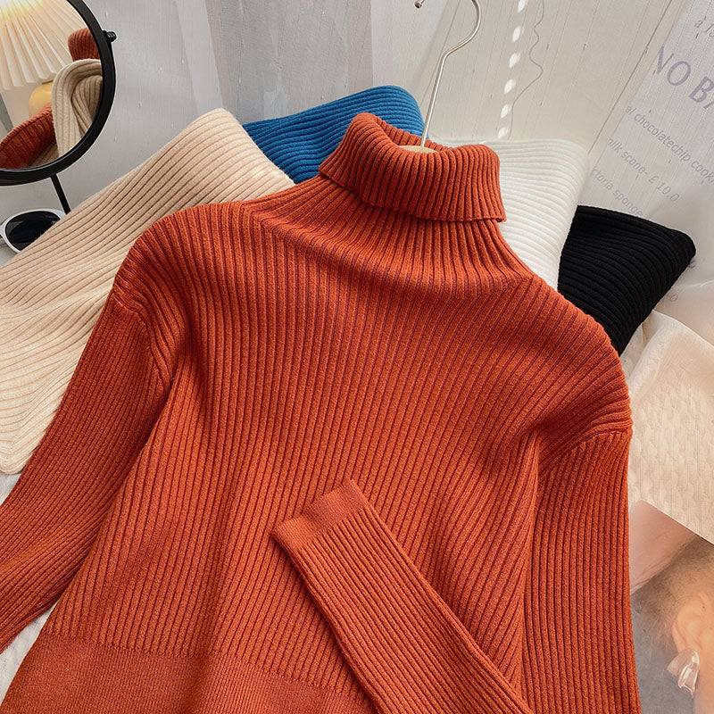 Chunky Ribbed Turtleneck Sweater (8 Colors)