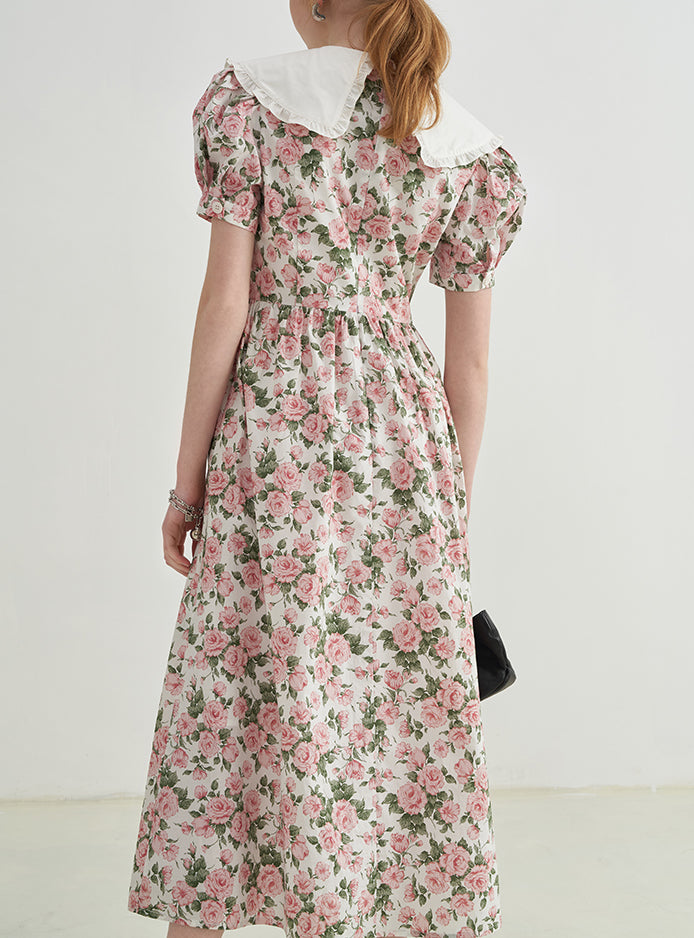 Rose Tea Peter Pan Dress (White/Pink)