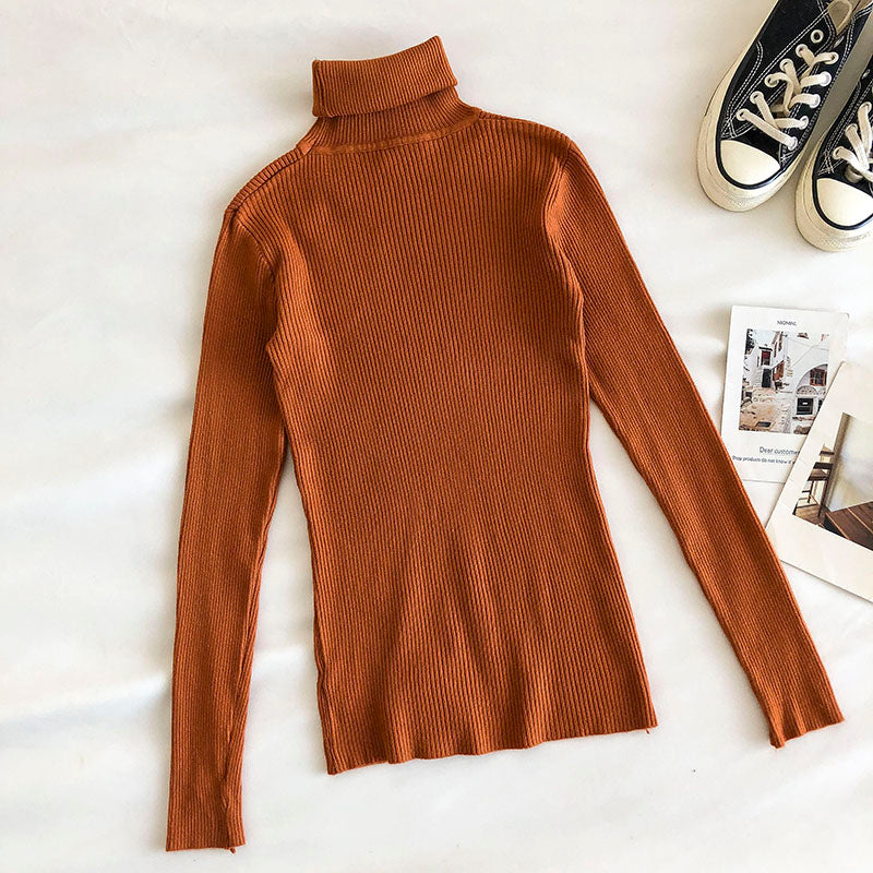 Basic Turtleneck Sweater (15 Colors)