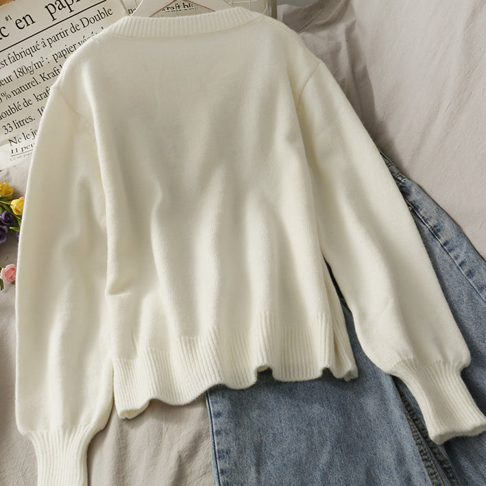 Floral Embroidered Cardigan (2 Colors)