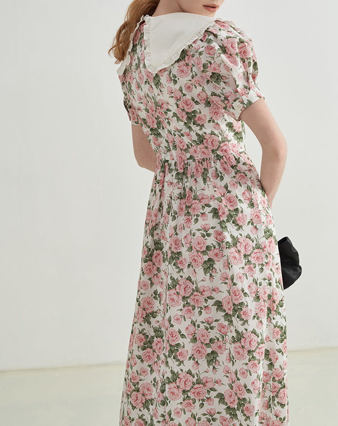 Rose Tea Peter Pan Dress (White/Pink)