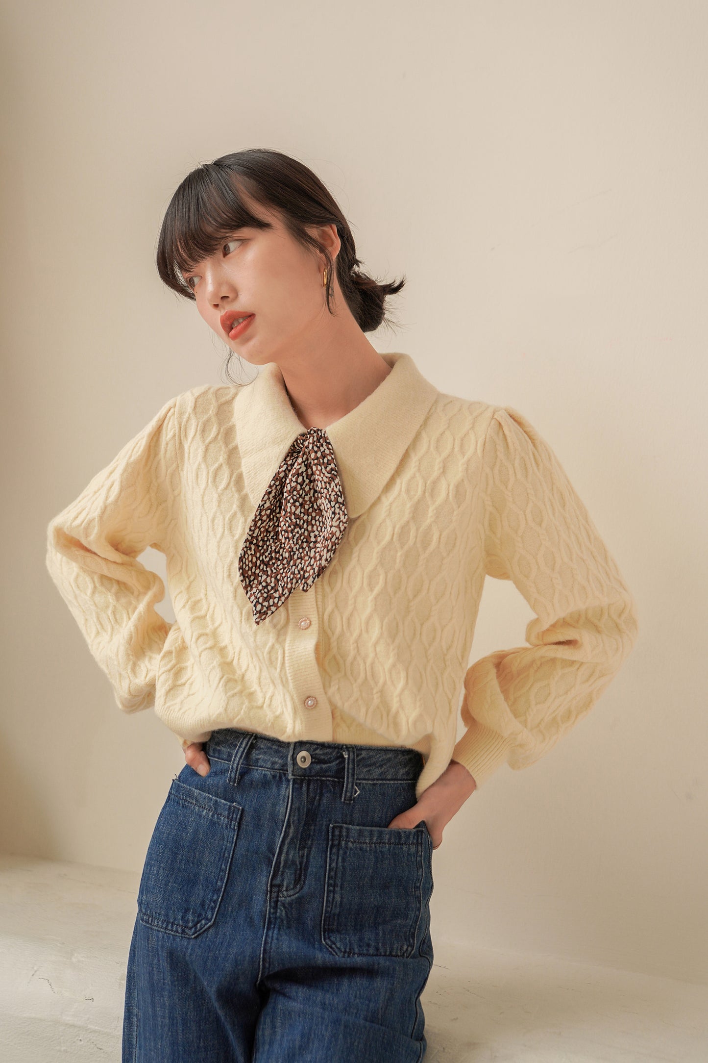 Button Up Polo Sweater (5 Colors)