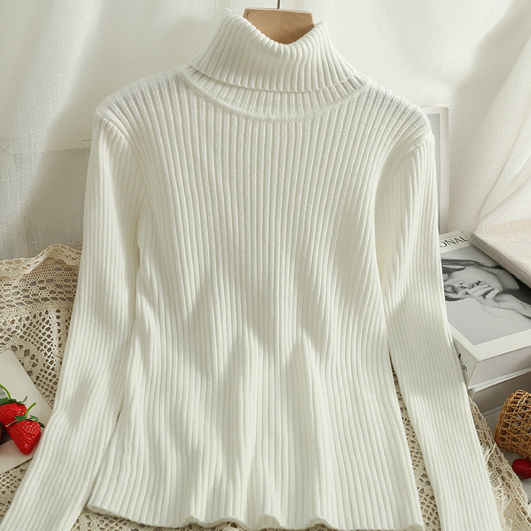 Chunky Ribbed Turtleneck Sweater (15 Colors)