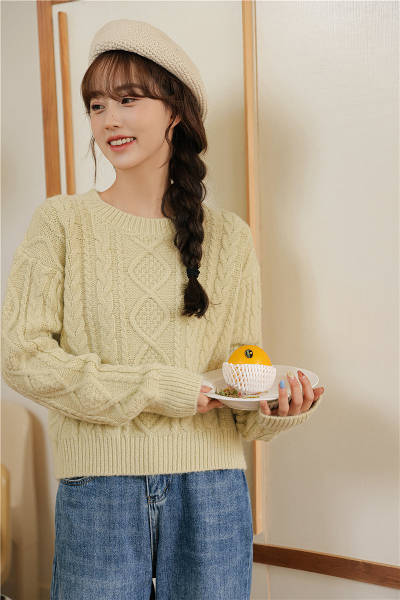 Basic Cable Knit Sweater (6 Colors)