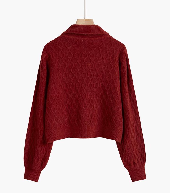 Button Up Polo Sweater (5 Colors)