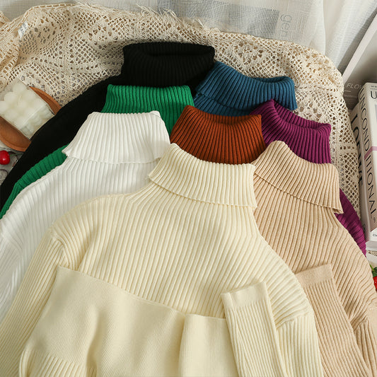 Chunky Ribbed Turtleneck Sweater (8 Colors)