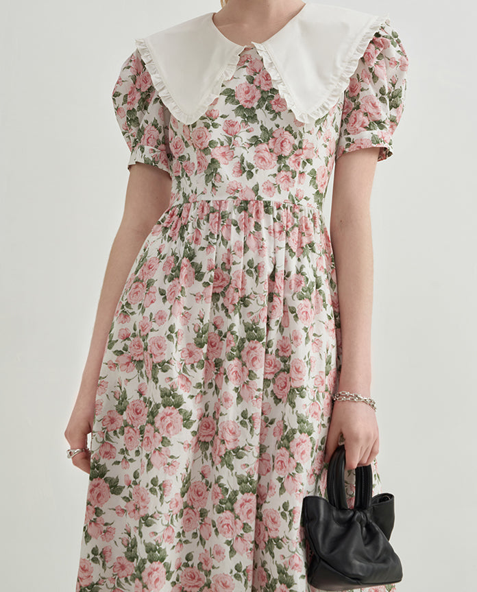 Rose Tea Peter Pan Dress (White/Pink)