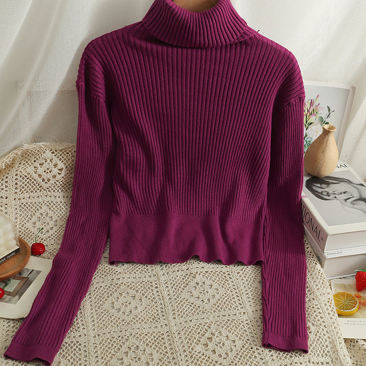 Chunky Ribbed Turtleneck Sweater (8 Colors)