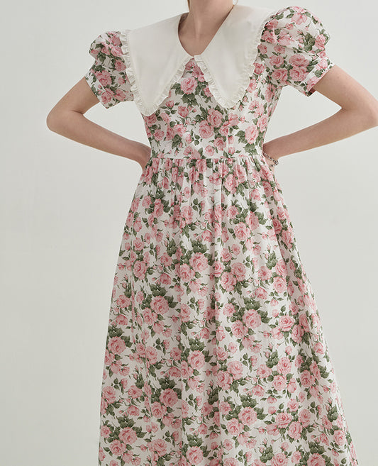 Rose Tea Peter Pan Dress (White/Pink)