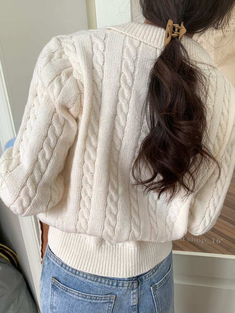 Cable Knit Polo Sweater (6 Colors)