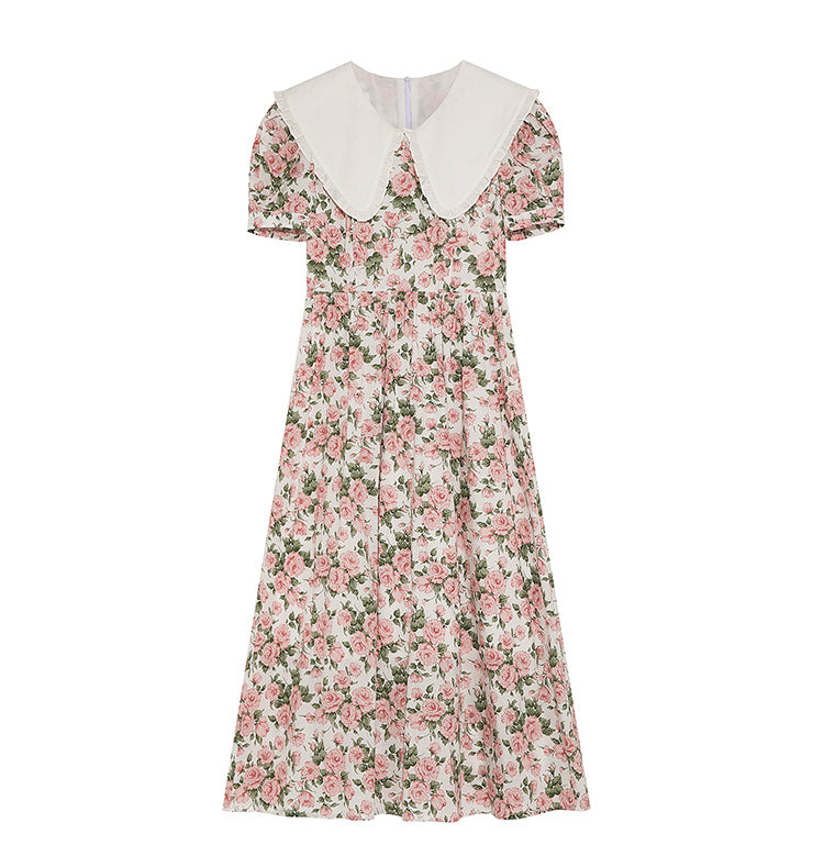 Rose Tea Peter Pan Dress (White/Pink)