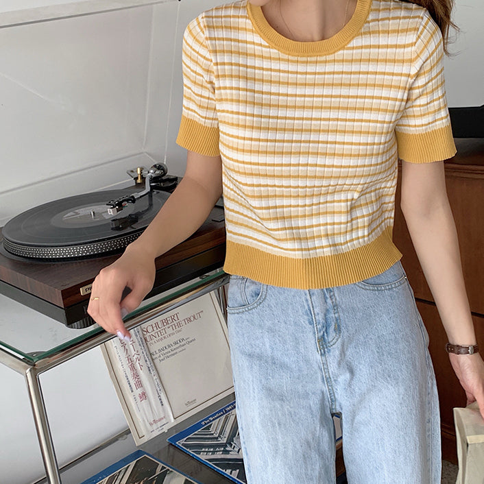 Short Sleeve Stripe Sweater (4 Colors)