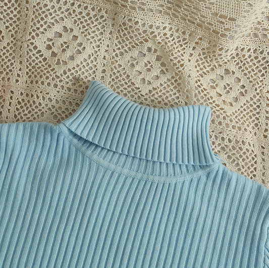 Chunky Ribbed Turtleneck Sweater (15 Colors)