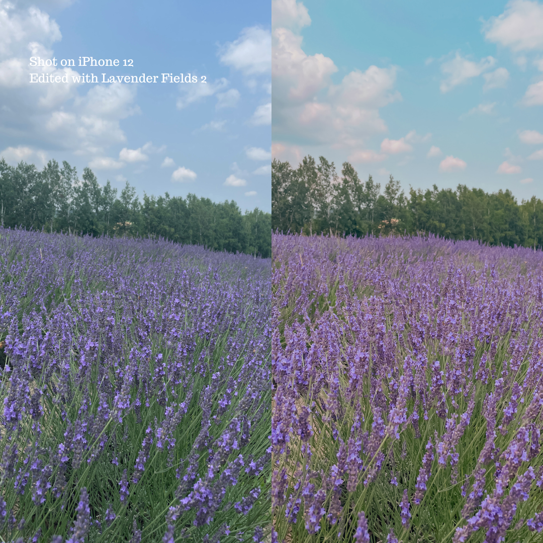 Lavender Fields Preset