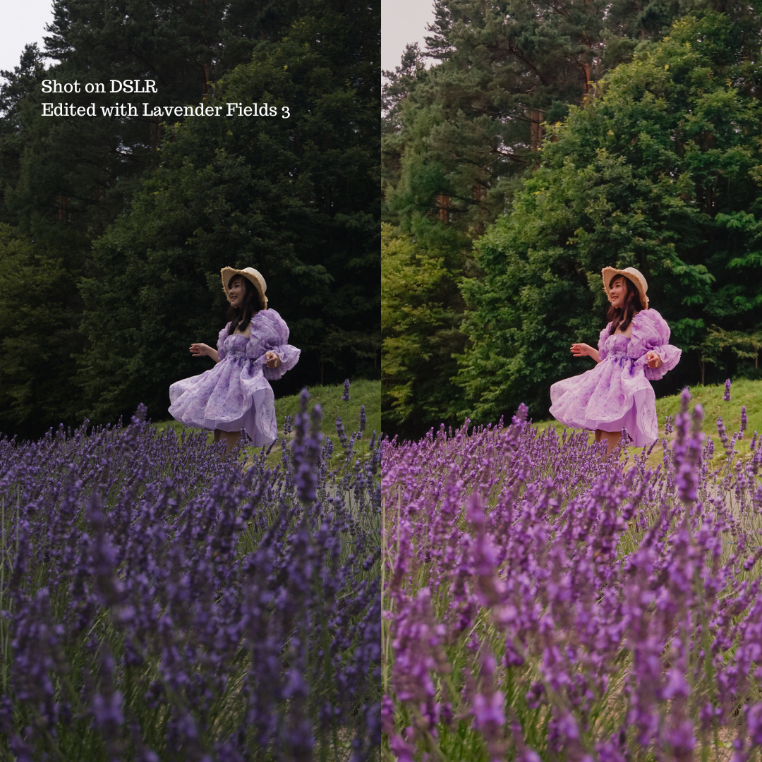 Lavender Fields Preset