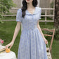 Floral Stripe Midi Dress (Blue)