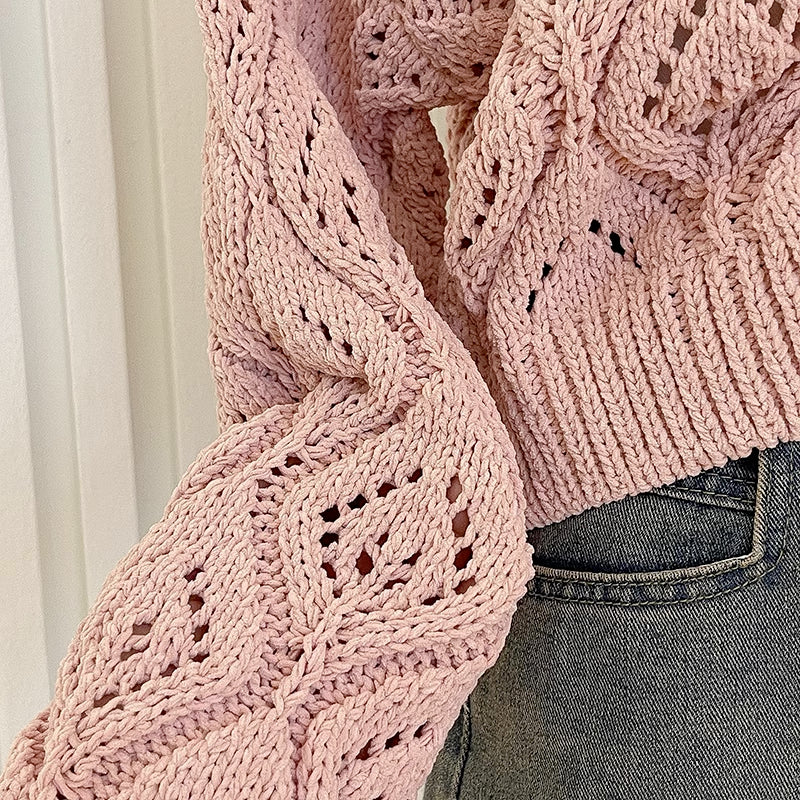 Open Knit Crochet Sweater (2 Colors)