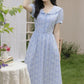 Floral Stripe Midi Dress (Blue)