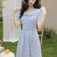 Floral Stripe Midi Dress (Blue)