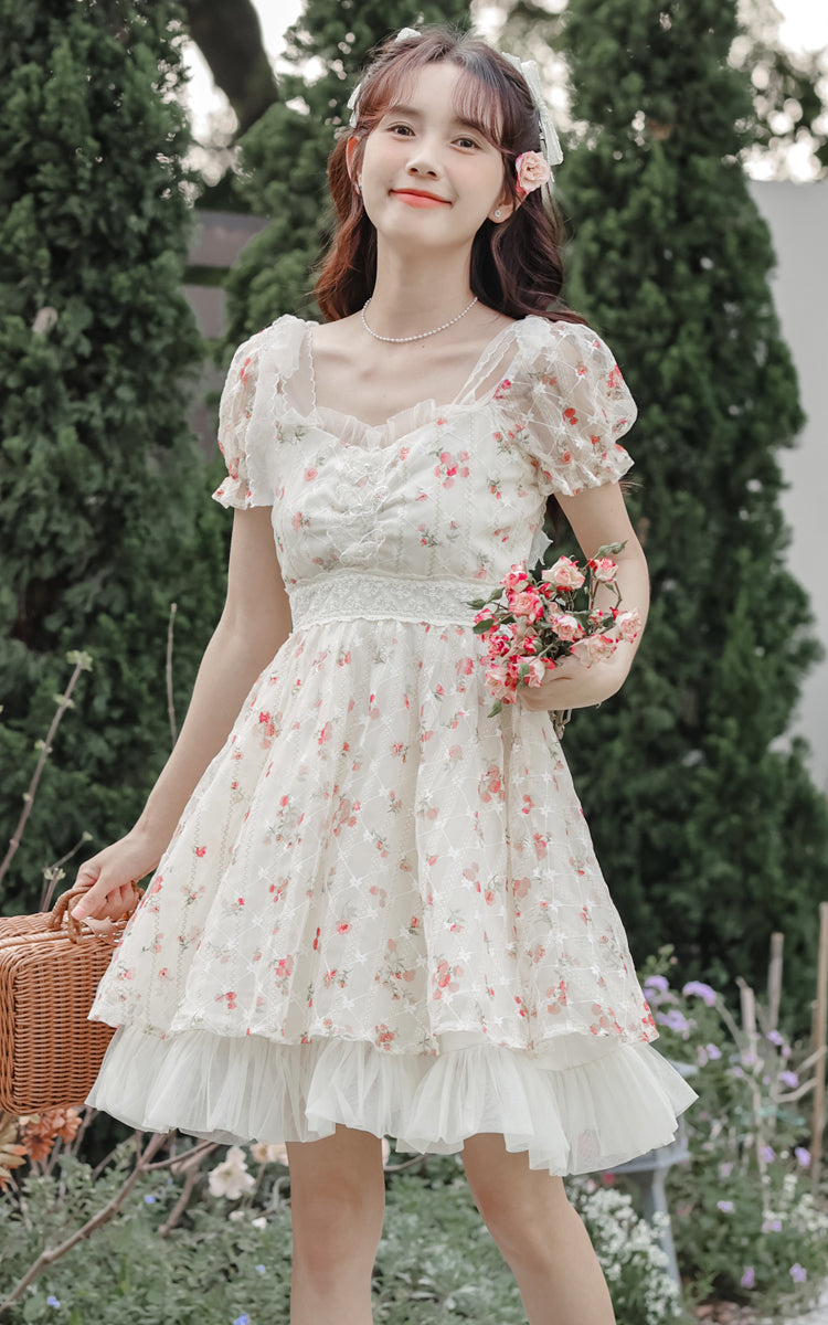 Dainty Rose Petticoat Mini Dress (White)