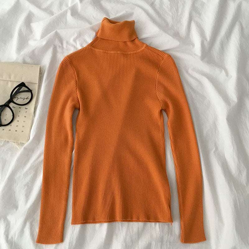 Basic Turtleneck Sweater (15 Colors)