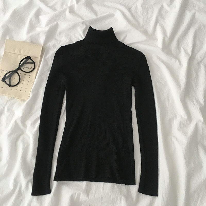 Basic Turtleneck Sweater (15 Colors)