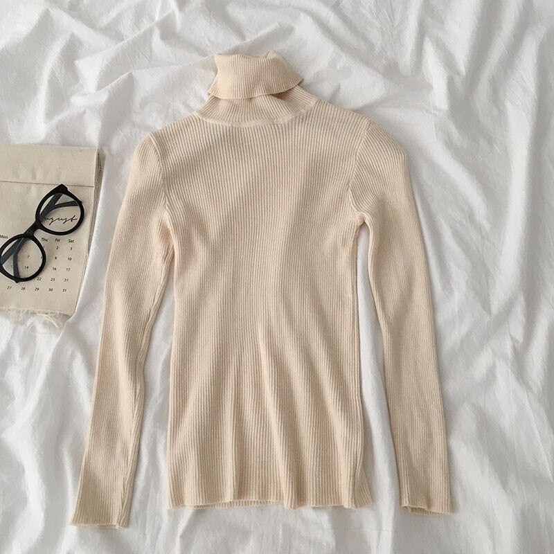 Basic Turtleneck Sweater (15 Colors)