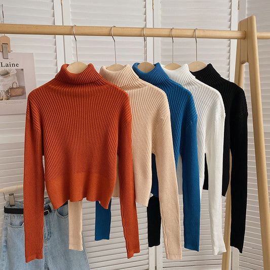 Chunky Ribbed Turtleneck Sweater (8 Colors)