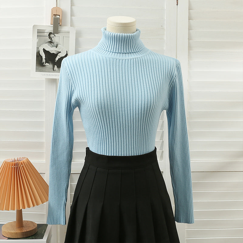 Chunky Ribbed Turtleneck Sweater (15 Colors)