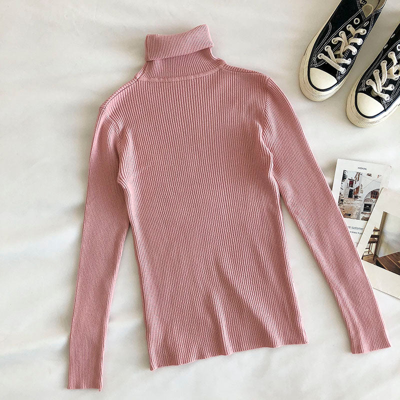 Basic Turtleneck Sweater (15 Colors)