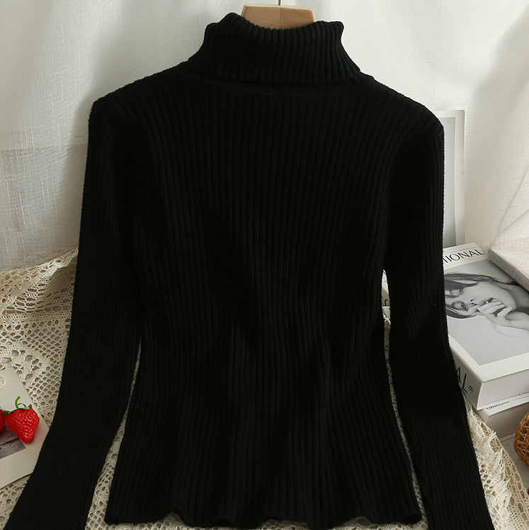 Chunky Ribbed Turtleneck Sweater (15 Colors)