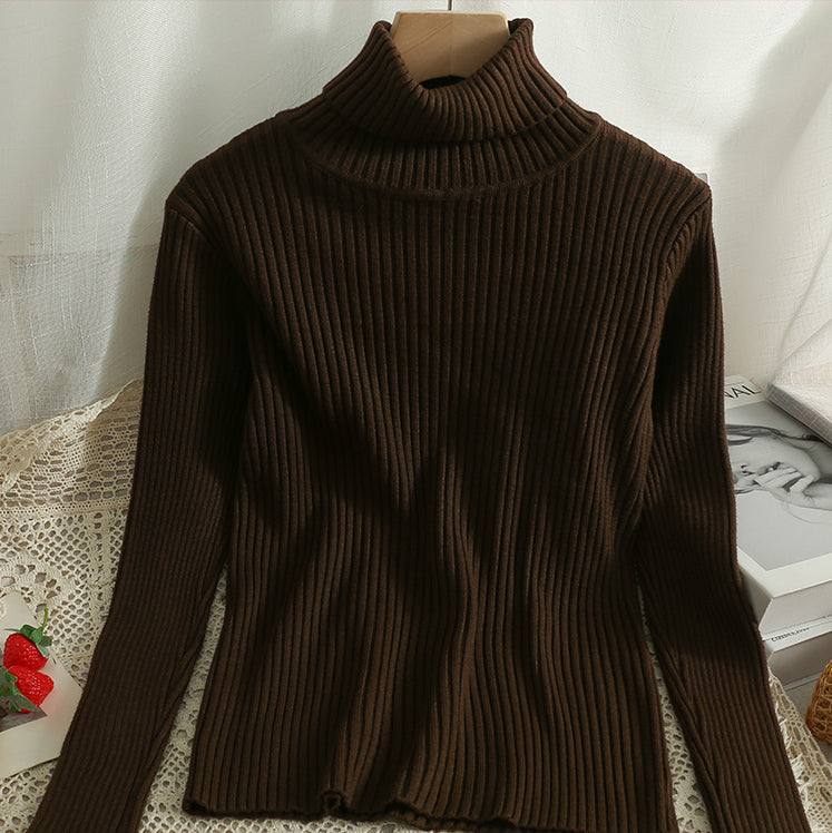 Chunky Ribbed Turtleneck Sweater (15 Colors)