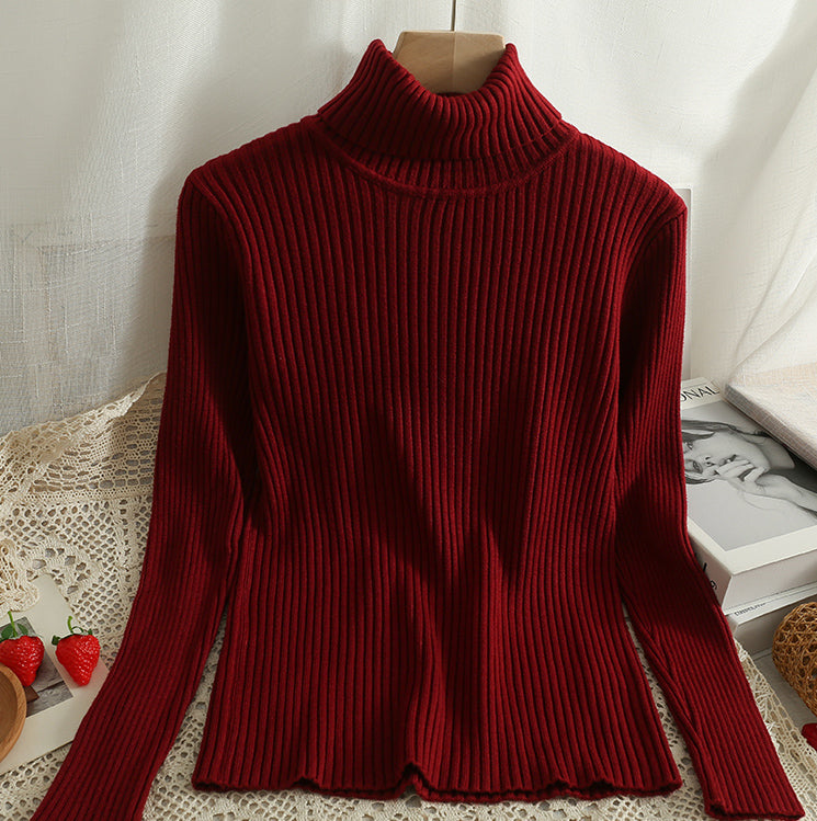 Chunky Ribbed Turtleneck Sweater (15 Colors)