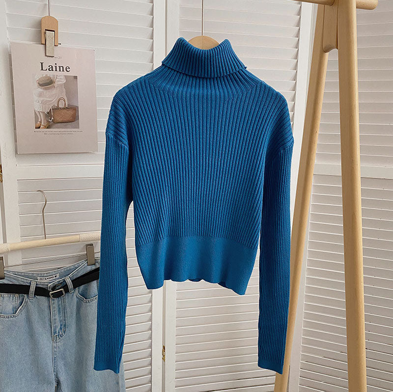 Chunky Ribbed Turtleneck Sweater (8 Colors)