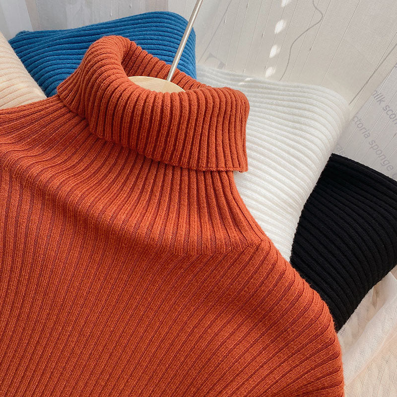 Chunky Ribbed Turtleneck Sweater (8 Colors)