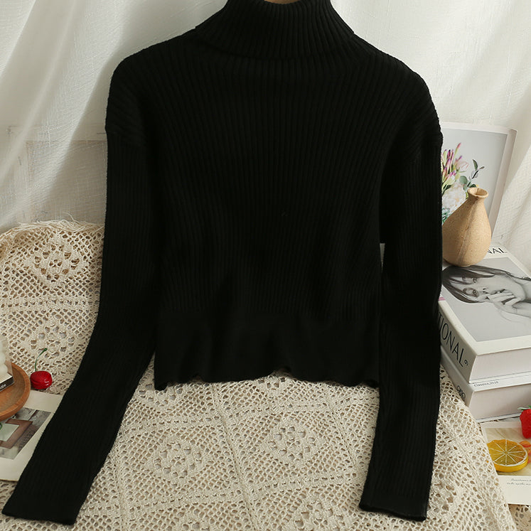 Chunky Ribbed Turtleneck Sweater (8 Colors)