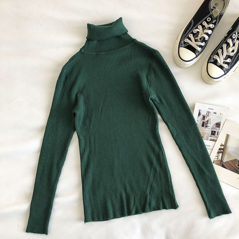 Basic Turtleneck Sweater (15 Colors)