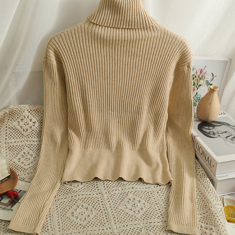 Chunky Ribbed Turtleneck Sweater (8 Colors)