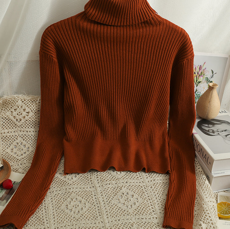 Chunky ribbed turtleneck sweater best sale