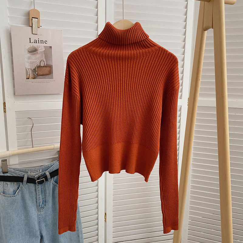 Chunky Ribbed Turtleneck Sweater (8 Colors)