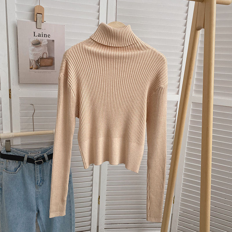 Chunky Ribbed Turtleneck Sweater (8 Colors)